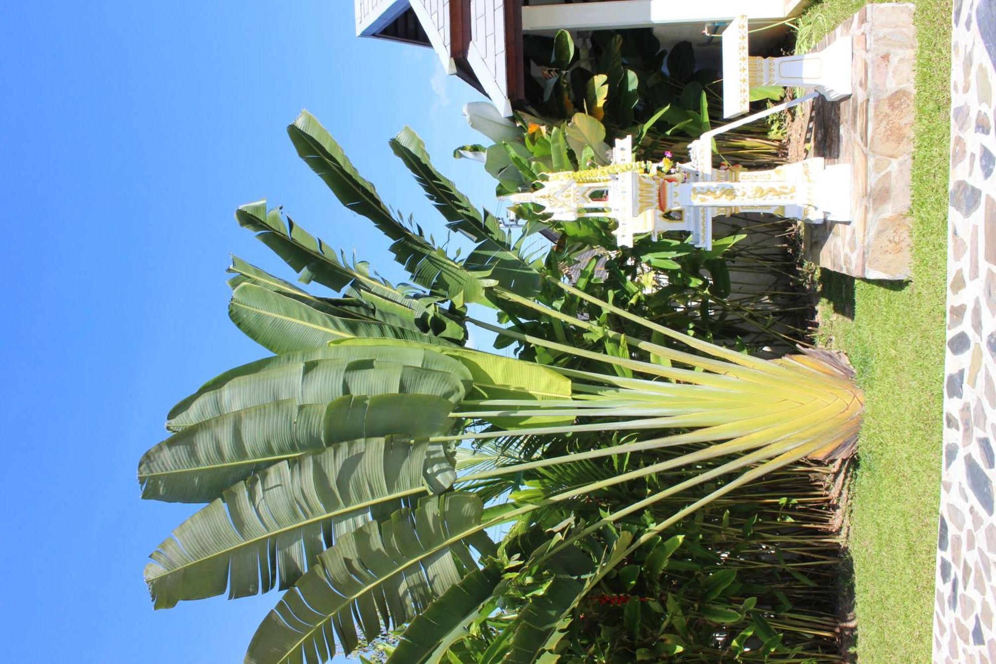 Villa Colina Khao Lak Rooms And Bungalows - Adults Only Exterior foto